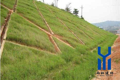 三維植被網(wǎng)http://m.gdmja.com/